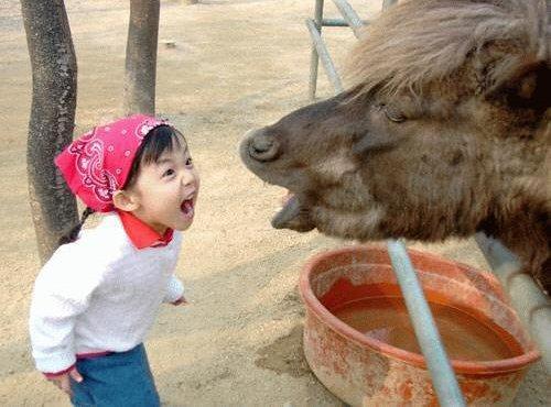Верблюд испугался от маленькой,но прикольной девочки