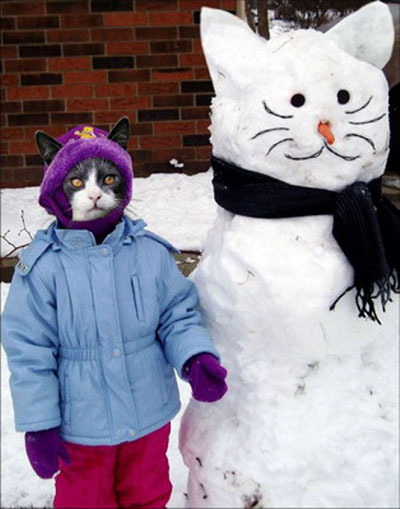 Приколная реалньая кошка против снеговика