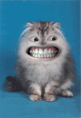 Кошка-Часы с зубами человека,Прикольная анимация